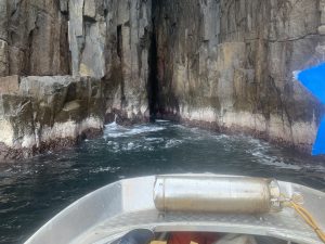 abalone diving location - Paul Richardson